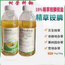 树荣耕锄10%精草铵膦铵盐精粉草铵膦除草剂农药