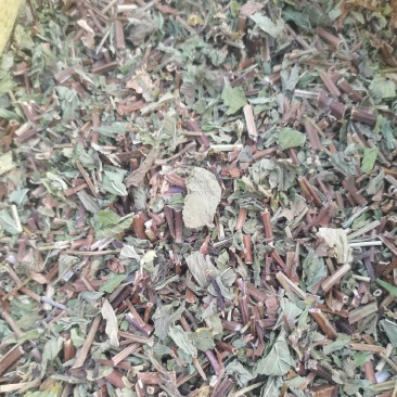 薄荷，全颗。头茬货。质量有保障