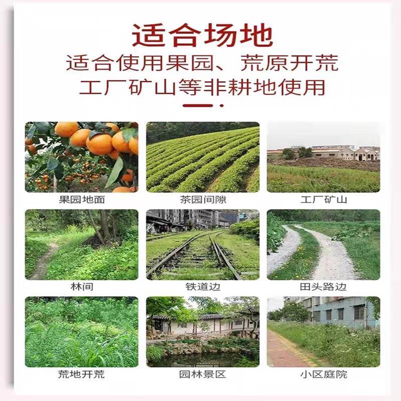树荣耕锄10%精草铵膦铵盐非耕地杂草除草剂农药