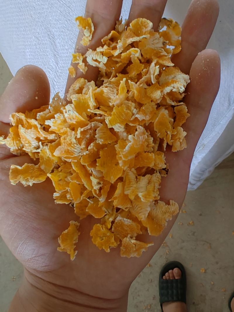玉米压片熟化玉米压片适用于鸡鸭鹅牛羊养殖使用量大从优