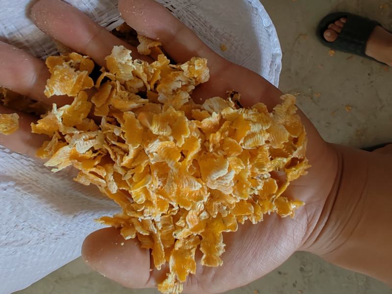玉米压片熟化玉米压片适用于鸡鸭鹅牛羊养殖使用量大从优