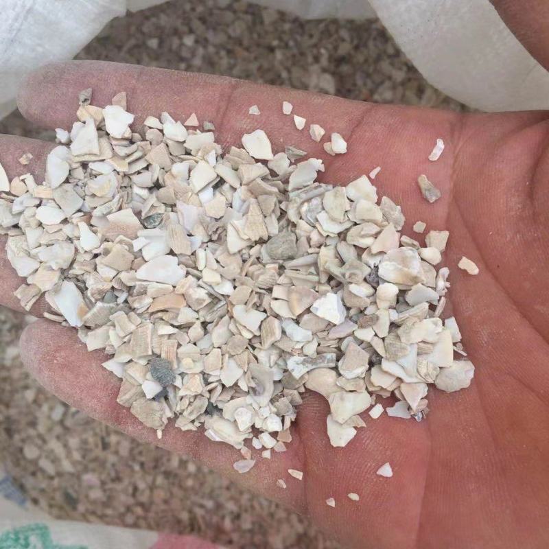 贝壳粉高钙贝壳粉