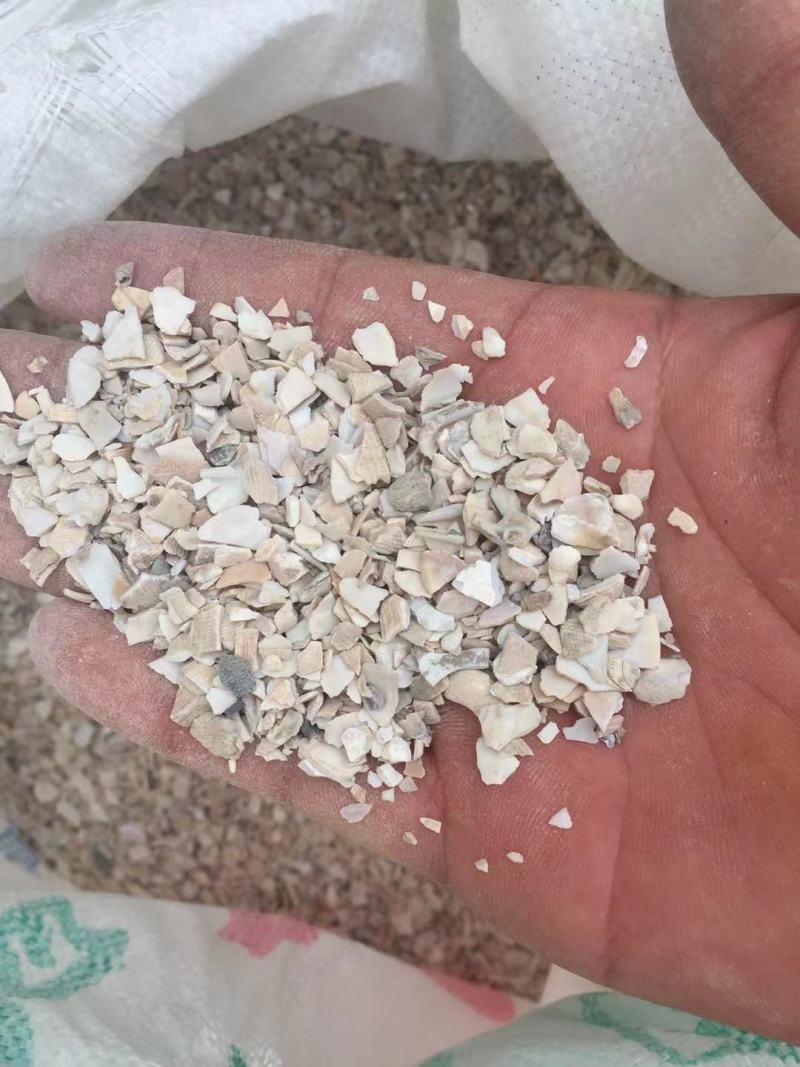 贝壳粉高钙贝壳粉