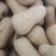 陕西奶油南瓜，货量充足口感甜面，适合市场，加工厂