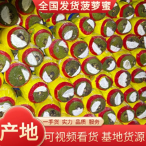 【推荐】越南红肉菠萝蜜供应链，产地直供对接全国