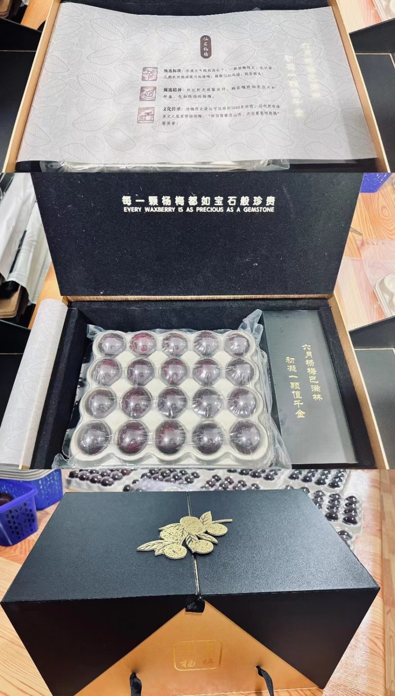 30万斤东魁仙居杨梅山已经盘下来，有价有量