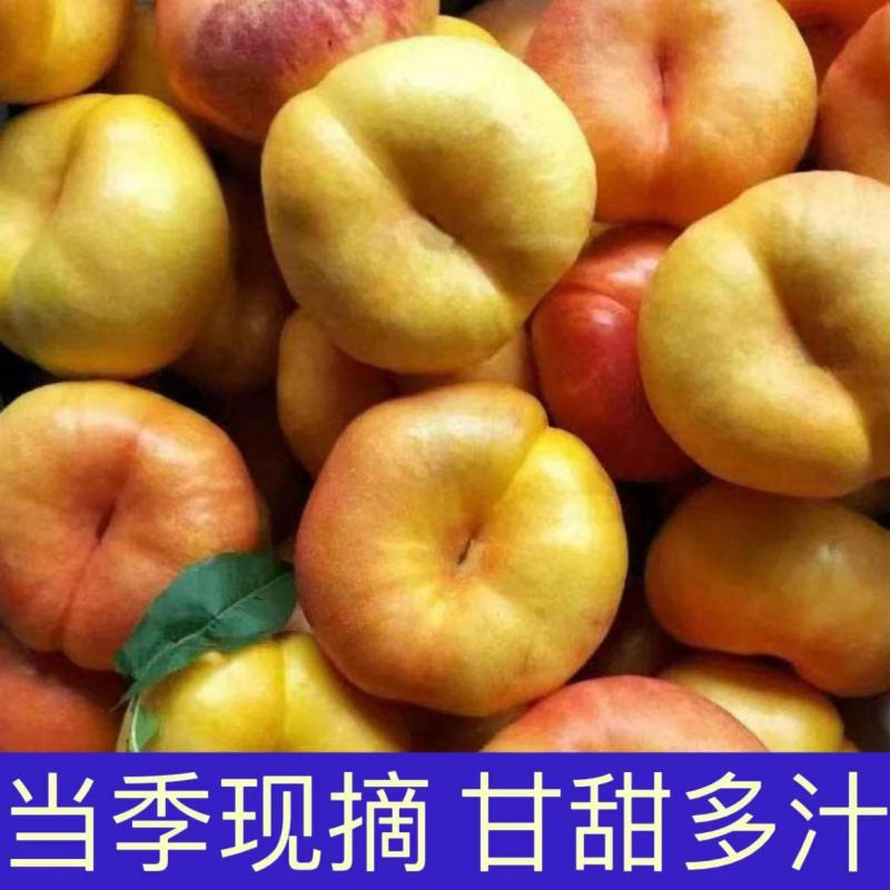 山东蒙阴黄油蟠桃纯甜无酸自家果园一件代发
