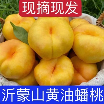 山东蒙阴黄油蟠桃纯甜无酸自家果园一件代发