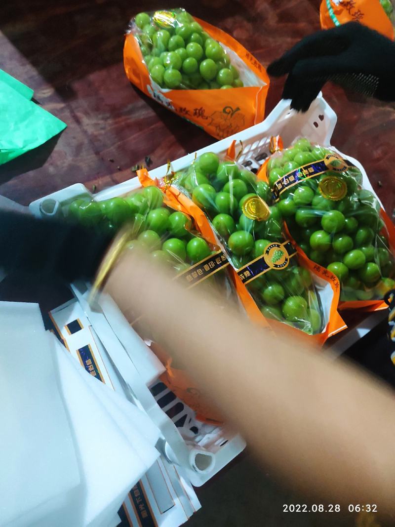 湖南澧县阳光玫瑰产地直供，大量现货