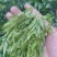 张家界莓茶