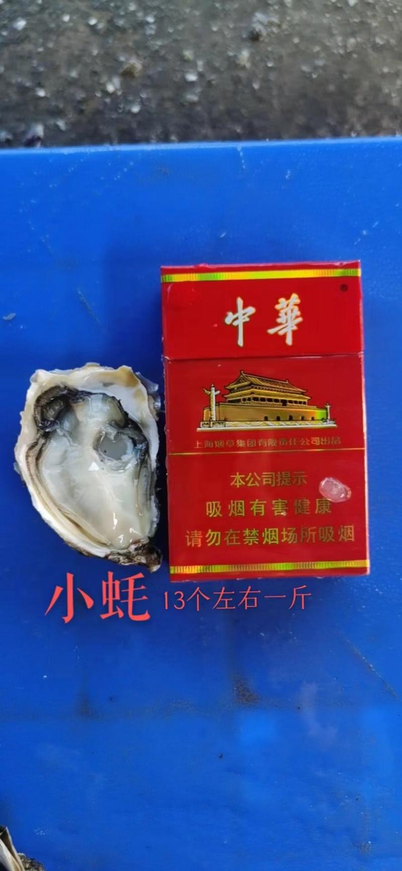 福建牡蛎生蚝精品规格一手货源全国发货可视频看货