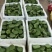 上海批发市场大量供应新鲜水果莲蓬，新鲜荷花北京莲蓬批发