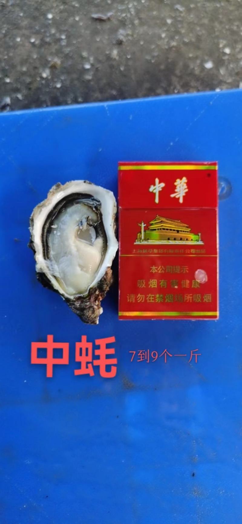 福建生蚝小包装供应社区团购规格齐全现捞现