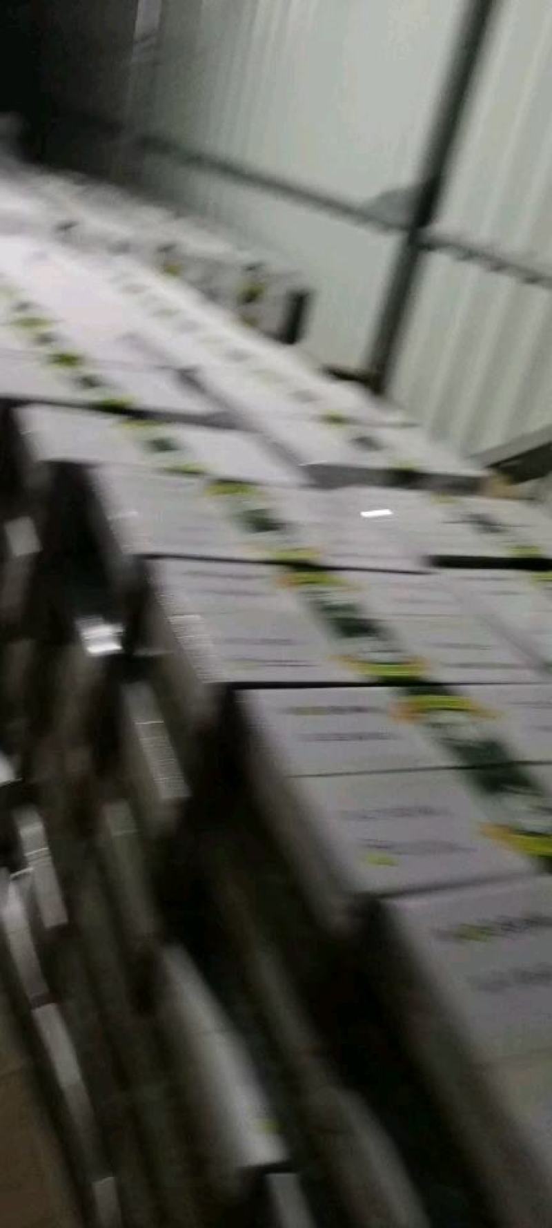 山东黄瓤富硒小兰，2k礼品西瓜产地直供，对接商超，市场