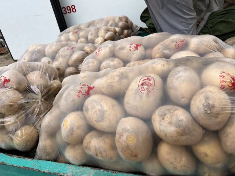 【土豆】甘肃精品希森226土豆，一手货源，品种全，价格低