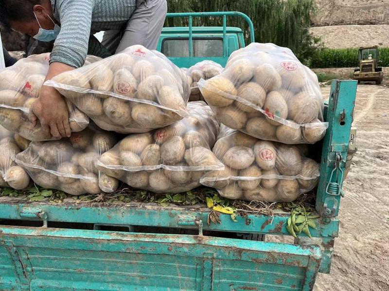【土豆】甘肃精品希森226土豆，一手货源，品种全，价格低