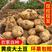 【土豆】甘肃精品希森226土豆，一手货源，品种全，价格低