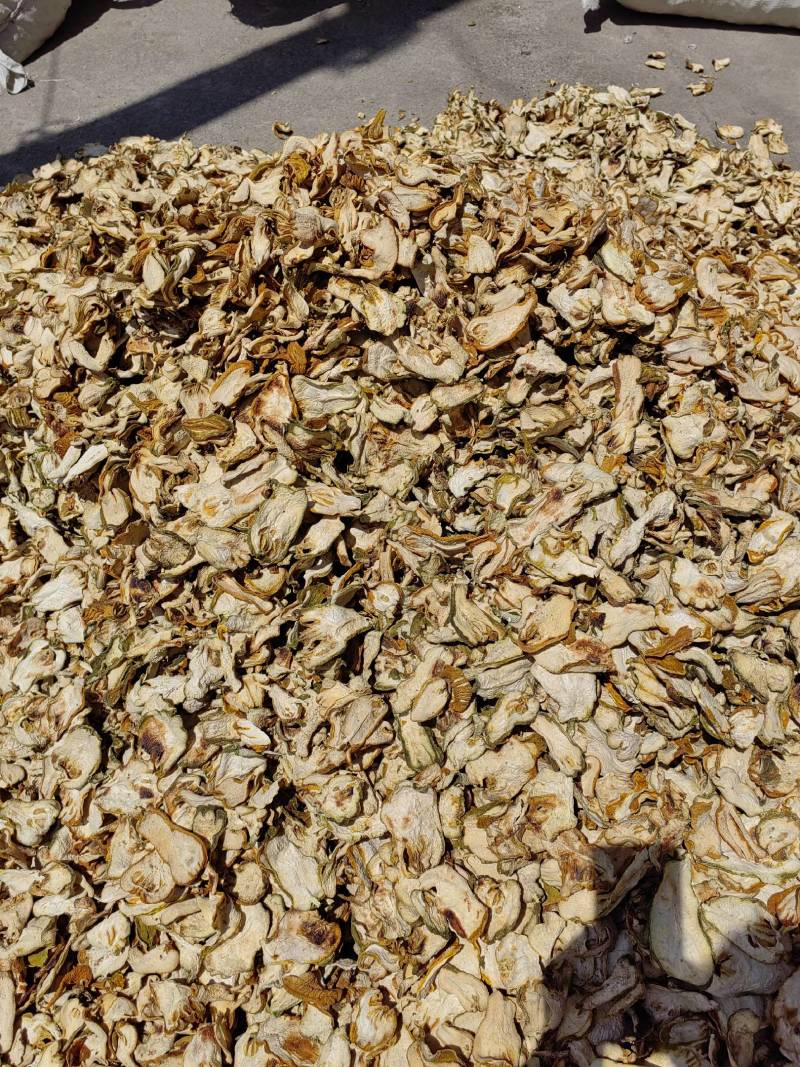 大量出售川佛手干片质量保证一手货源