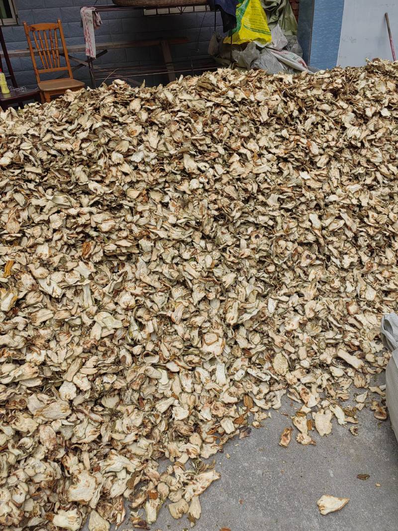 大量出售川佛手干片质量保证一手货源