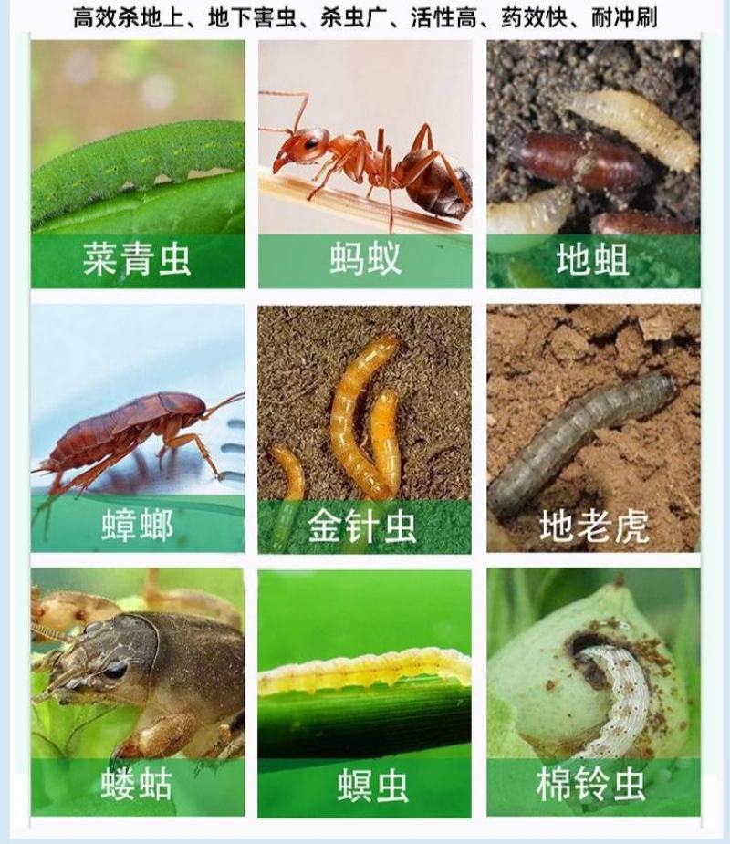5%高效氯氟氰菊酯蔬菜农作物果木杀虫剂菜青虫蚜虫棉铃虫