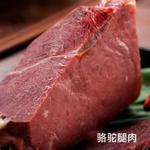 骆驼腿肉去骨5斤现宰骆驼排切块带骨红驼瘦肉切块