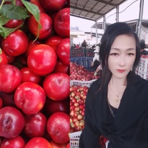 【山东油桃】产地一手货源充足品质保证硬度好色泽鲜艳