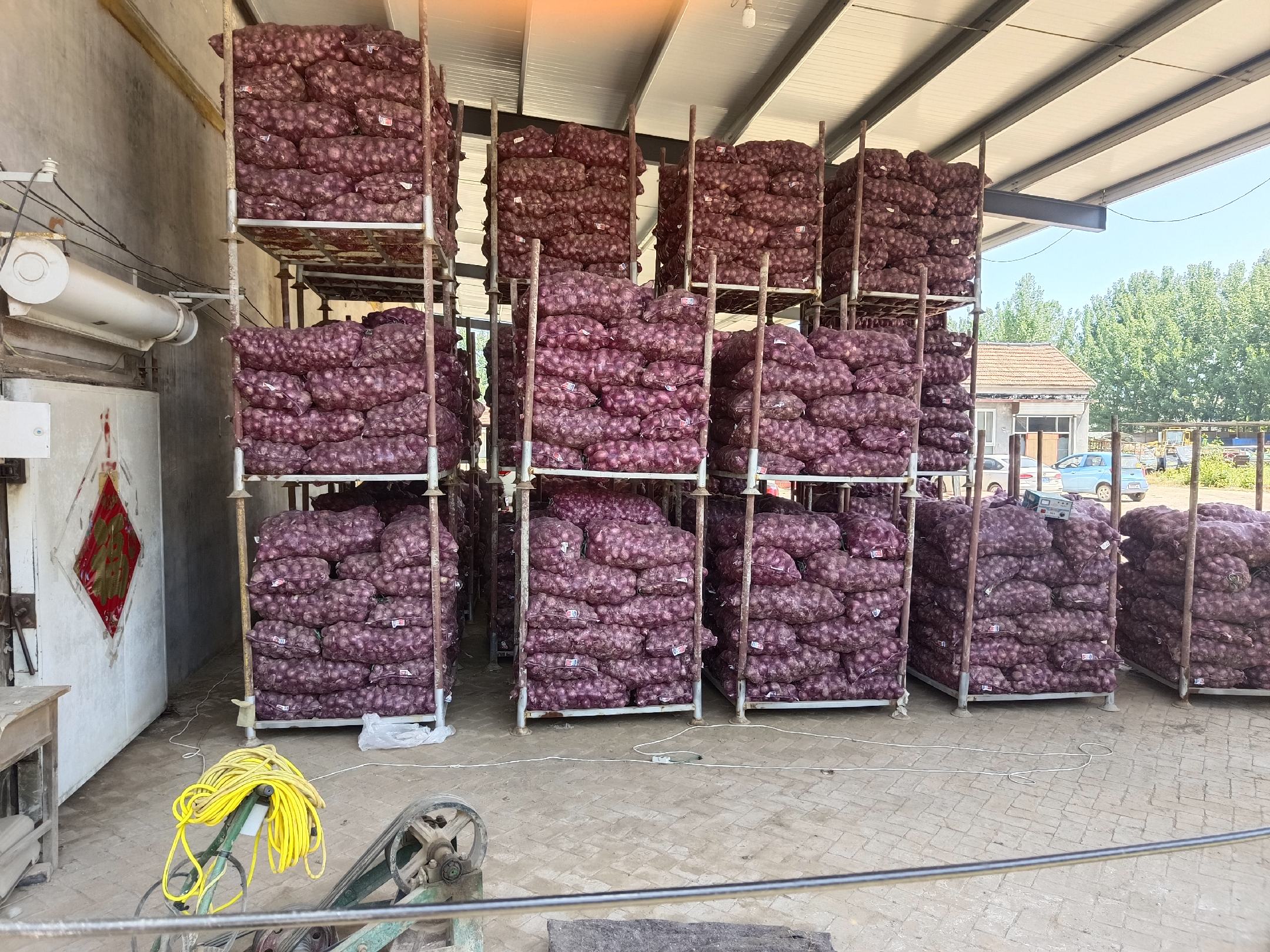 展示多种红皮洋葱品种在货架上的陈列效果 红皮洋葱展示图