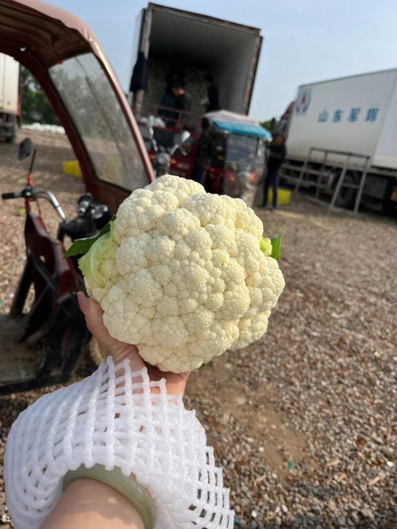 菜花