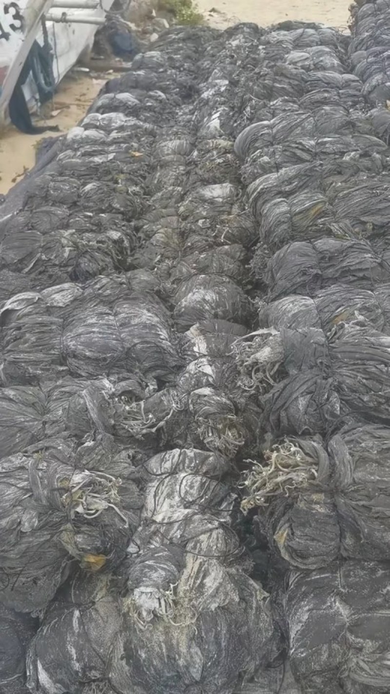 海带干海带海带皮海带片海带散菜挂菜海带丝海带结烘干海带头
