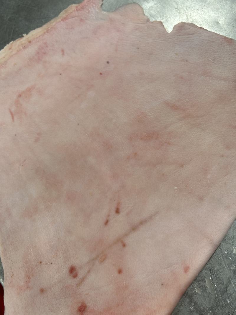 肥猪腿皮，新货新产，去油去毛，长期生产，供应稳定