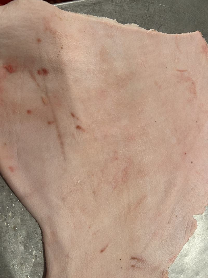 肥猪腿皮，新货新产，去油去毛，长期生产，供应稳定