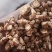 【精品】防风类内蒙高含量防风片中药材售卖品质保证多年经营