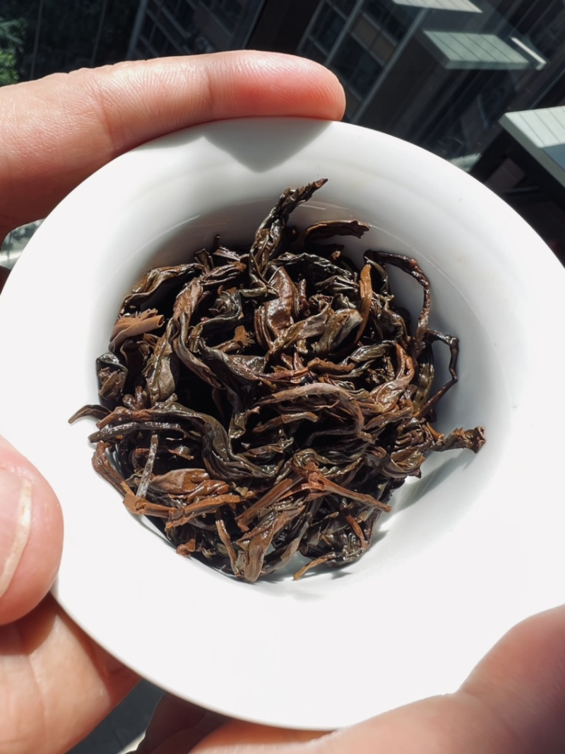乔木古树晒红滇红工夫茶