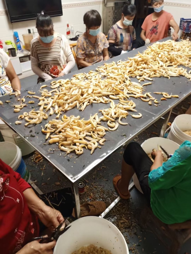 樟树港白辣椒