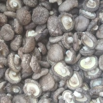 干香菇片现货供应肉质厚型态颜色.产地园区批发