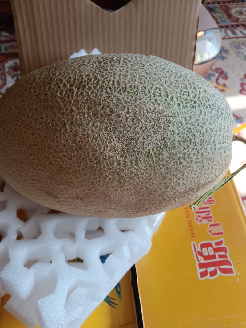哈密瓜新上市