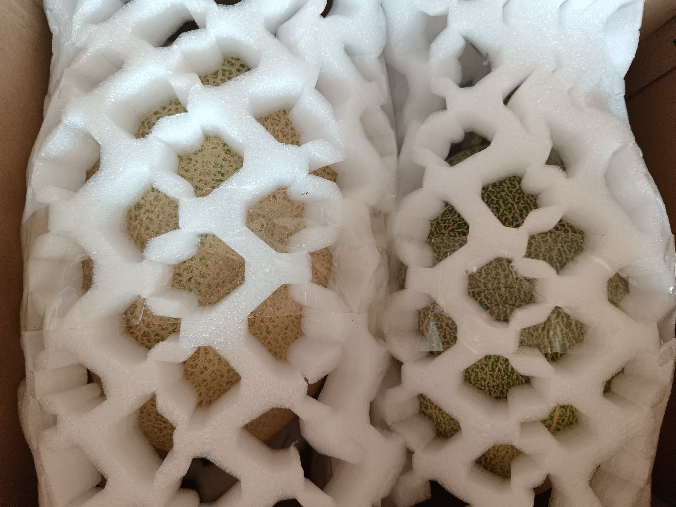 哈密瓜产品展示与品牌包装