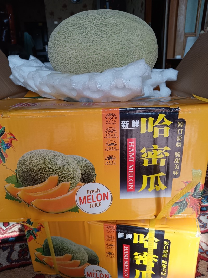 哈密瓜新上市