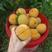 湖北锦香黄桃，自带香气的黄桃，口感香甜，全国市场可发货，
