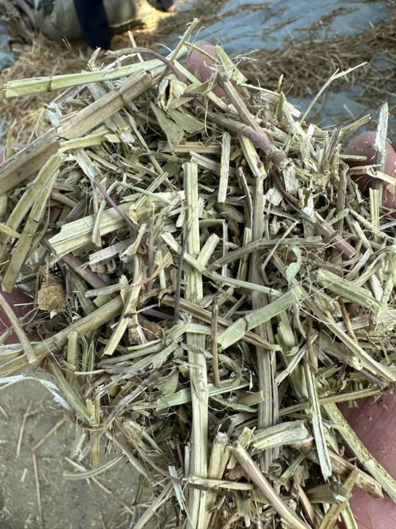 牛预混料牛饲料6个月【质量好价格实惠】保证质量无土无膜