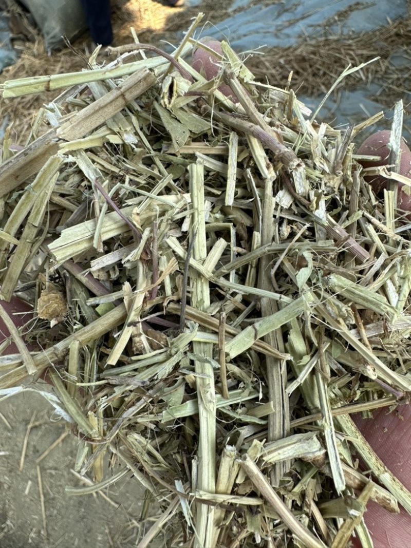 牛预混料牛饲料6个月【质量好价格实惠】保证质量无土无膜