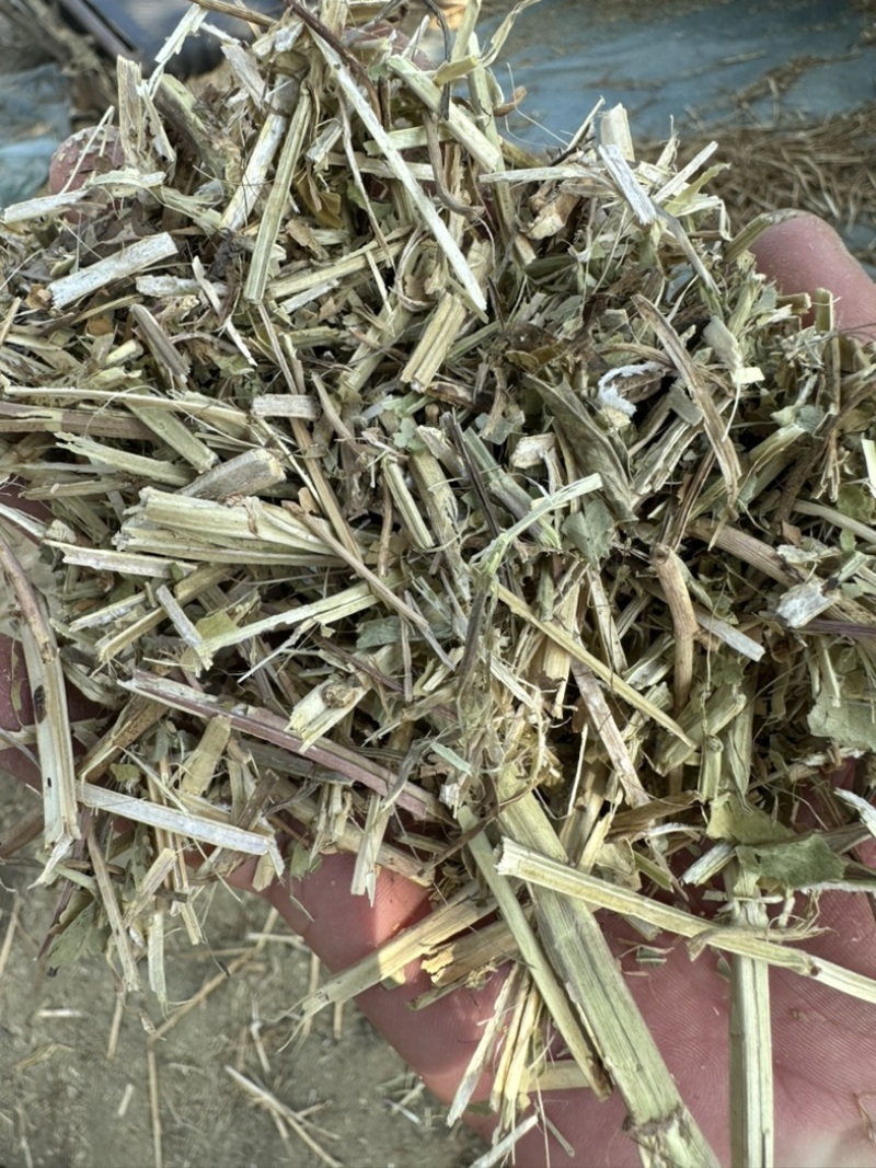 牛预混料牛饲料6个月【质量好价格实惠】保证质量无土无膜
