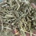 18个月优质花生质量好价格实惠，保证质量无土无膜