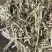 花生秧草料，花生秧压块，过双道筛保，干净利落！