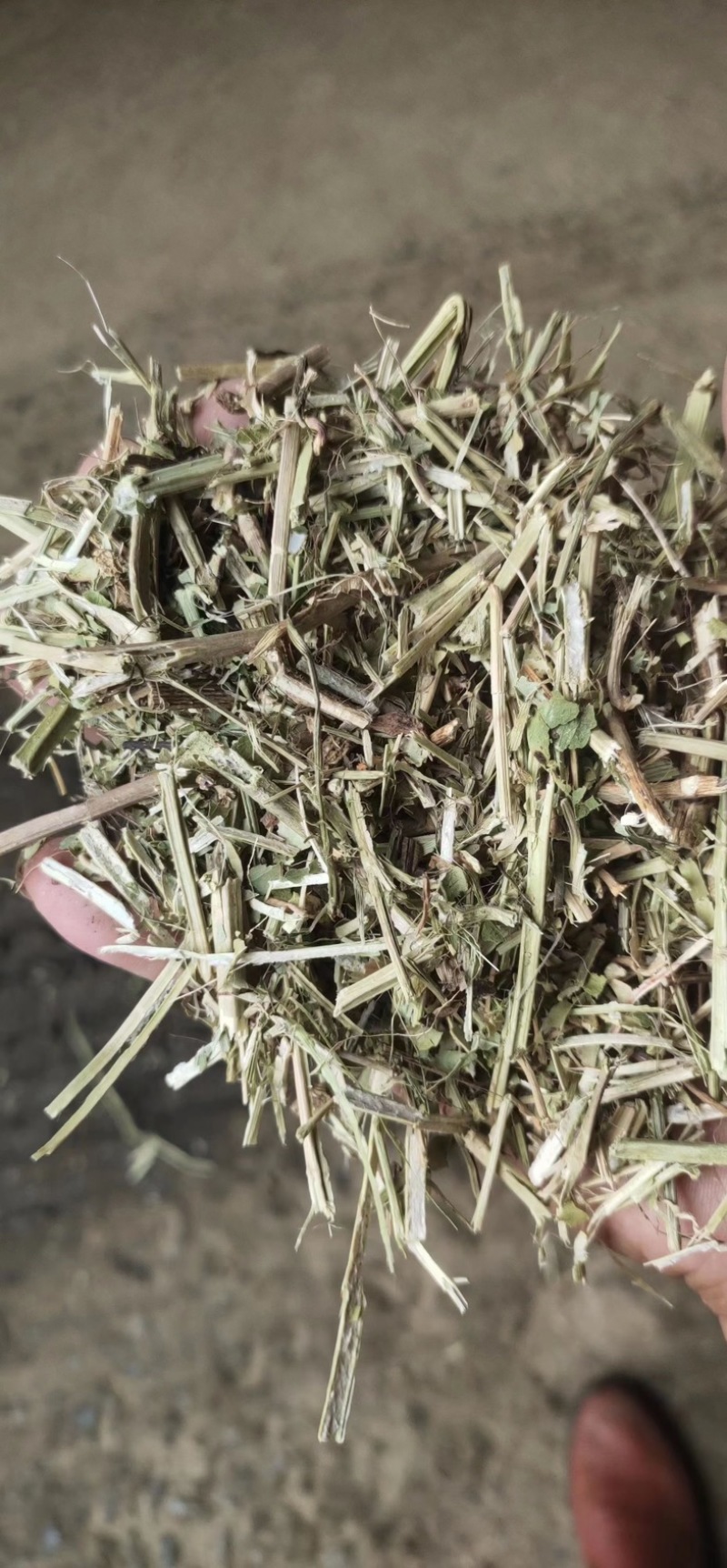 花生秧草料，花生秧压块，过双道筛保，干净利落！