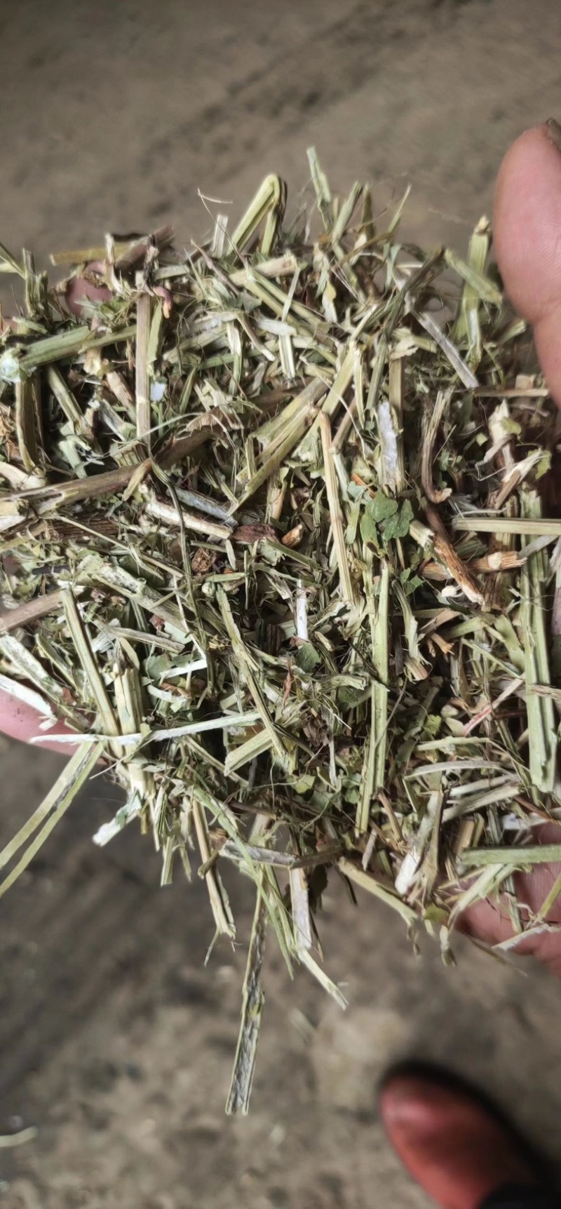 花生秧草料，花生秧压块，过双道筛保，干净利落！