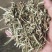 花生秧草料，花生秧压块，过双道筛保，干净利落！