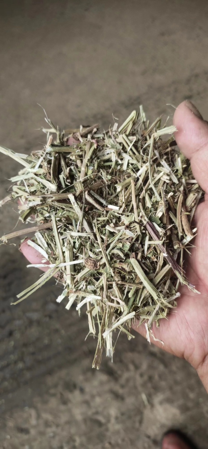花生秧草料，花生秧压块，过双道筛保，干净利落！