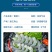 新鲜大虾仁鲜冻无冰青虾仁冷冻虾仁肉特级大号海虾去虾线