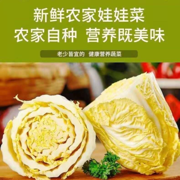 现砍新鲜小娃娃菜火锅配菜农家批发价格公道，欢迎采购